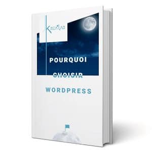 Livre blanc "Pourquoi choisir WordPress ?"